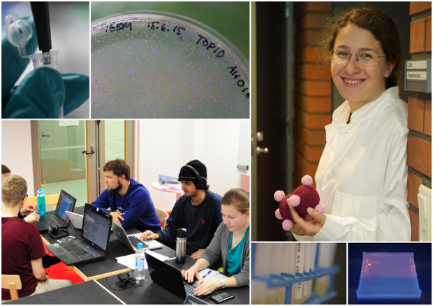 Laboratory work and group work with laptops.