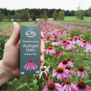 Frantsila echinacea product and flowers in the background.