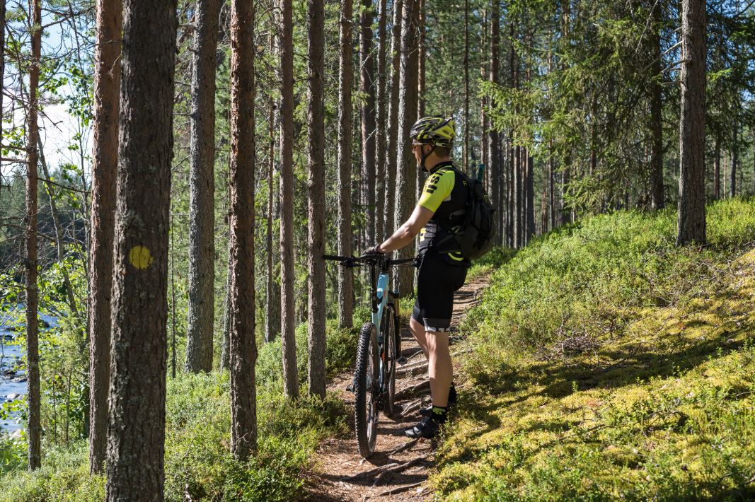 Biker on a forest path.