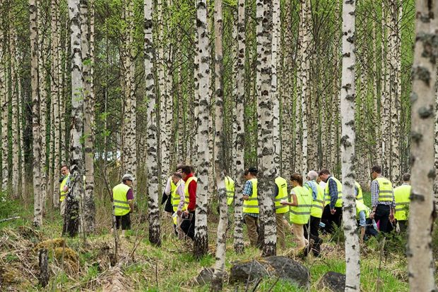 Forest academy participants in a birch forest.