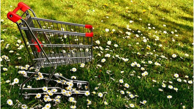 SHopping cart on a grass with daisies.