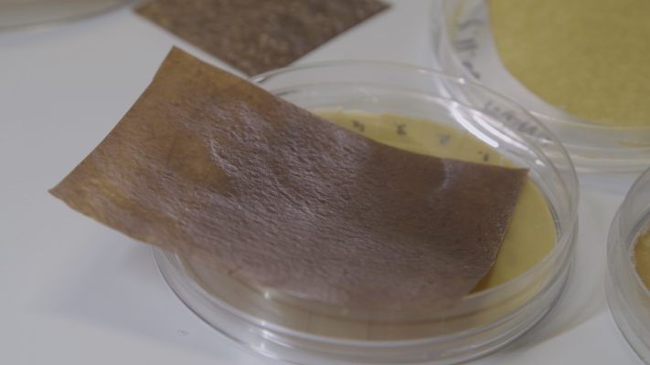 Synthetic, paper-like leather on top of a transparent Petri dish.