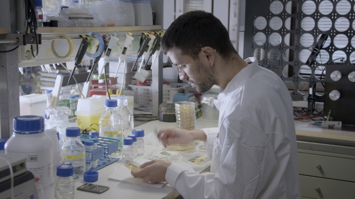 Man in a white jacket sitting in a laboratory studying a Petri dish.