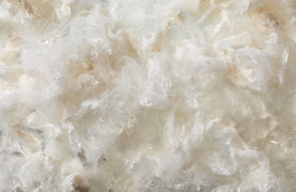 White, fluffy looking Infinna fiber. 