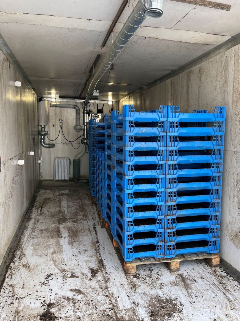 Inside the container, blue stacked trays.