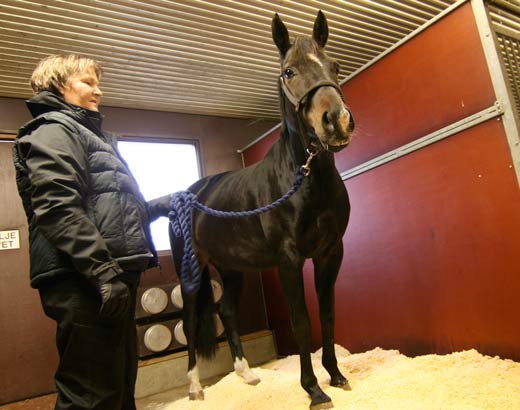 A woman and a horse in a stall.