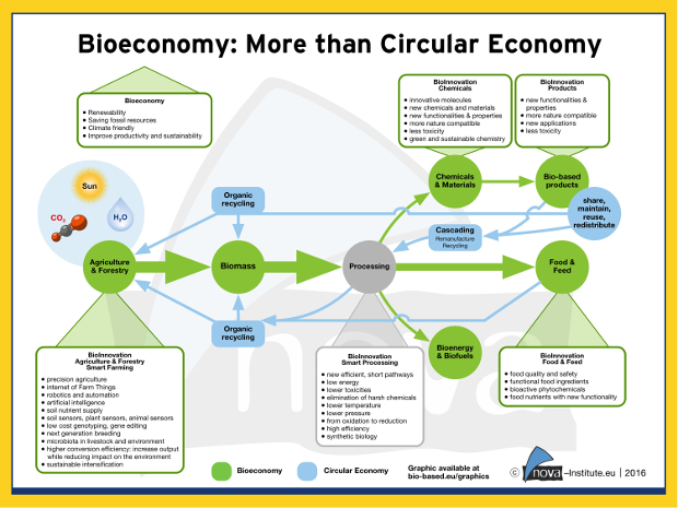 Bioeconomy: more than circular economy graph.