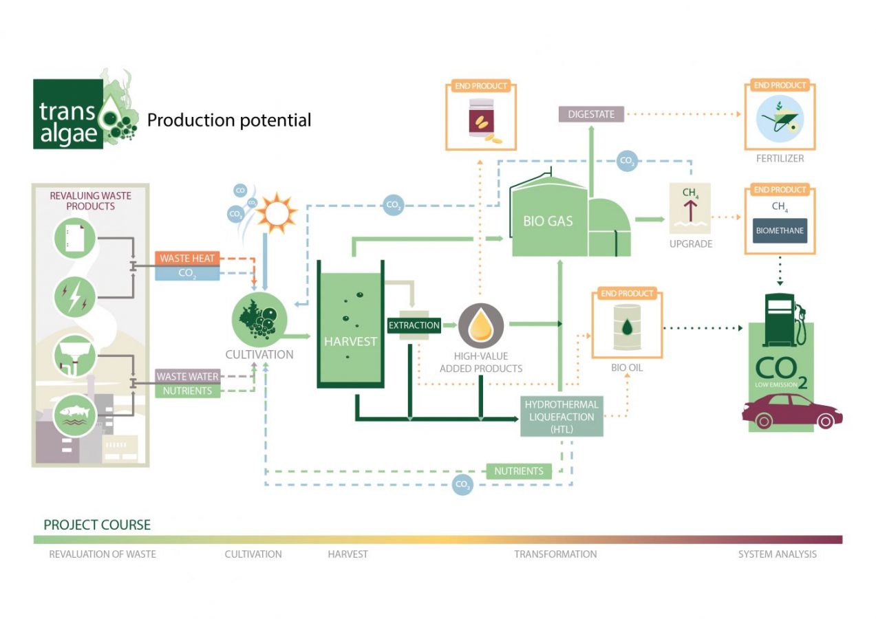 A graph of transAlgae production potential.