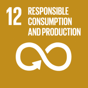 12. Responsible consumption and production