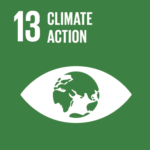 13. Climate action