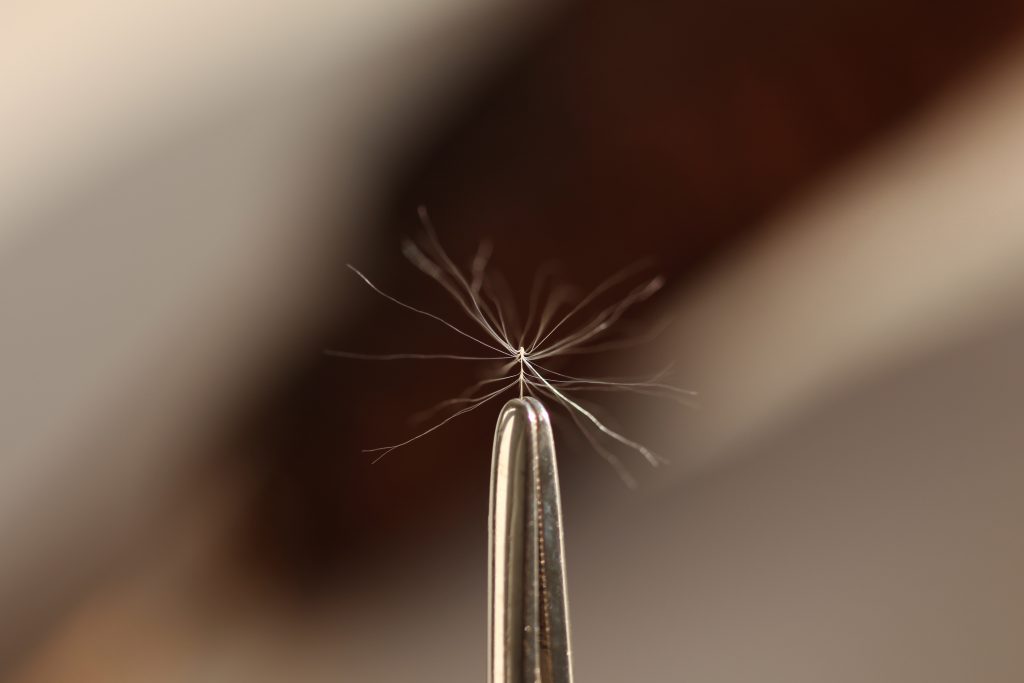 A single cattail seed hair hold by tweesers. 