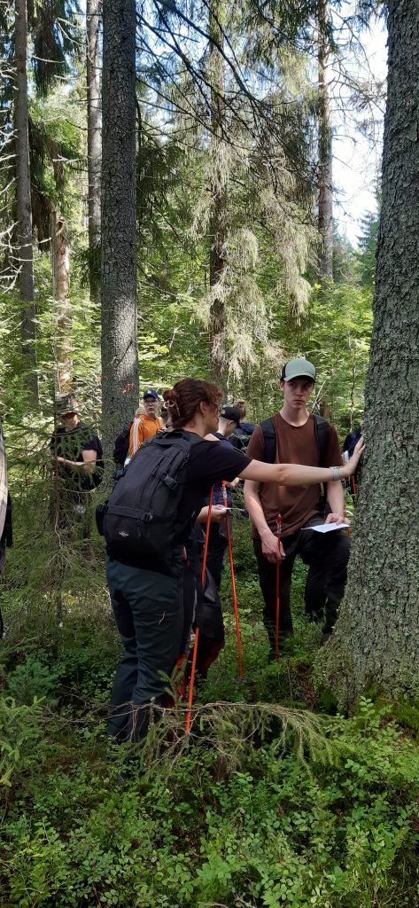 Young people in the forest. 