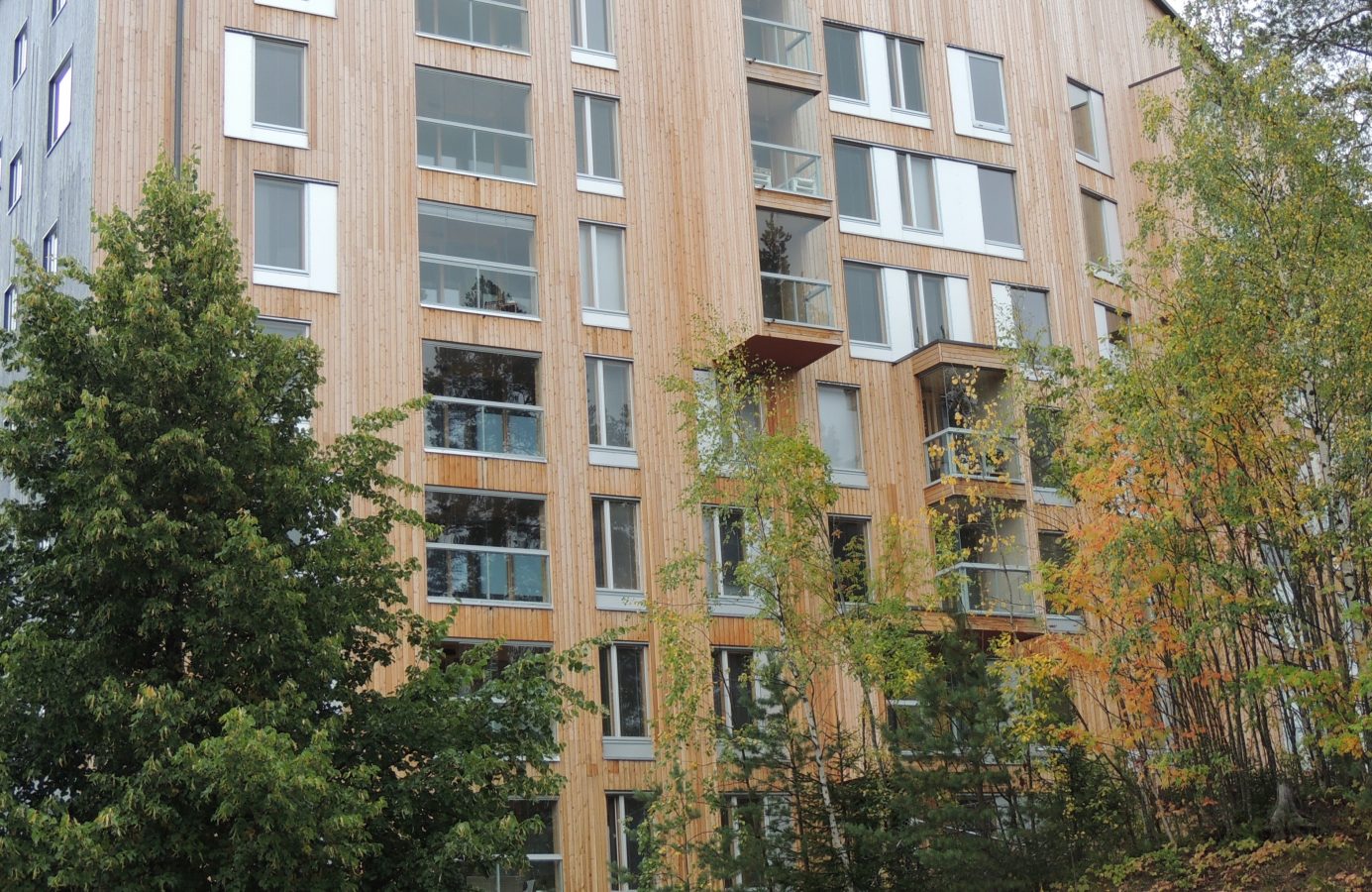 Wooden block of flats behind a number of trees.