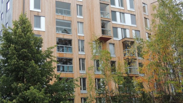 Wooden block of flats behind a number of trees.